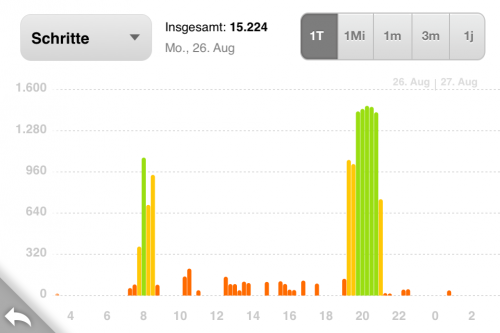 Fitbit App Statistik Schrittzähler