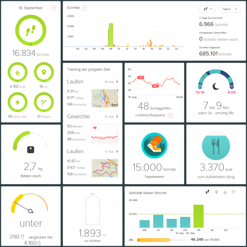 Modernes Dashboard mit vielen Auswertungen