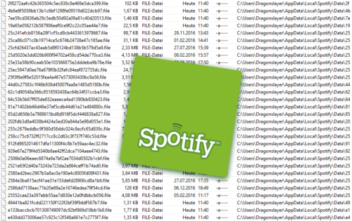 Spotify Cache Dateien Logo