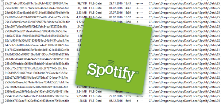 Spotify Cache Dateien Logo